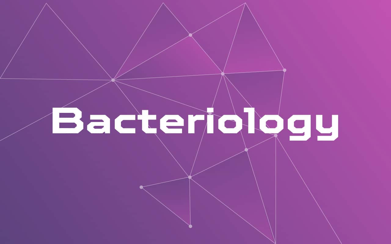 Bacteriology Simplified: Easy-to-Understand Guide to Bacteria
