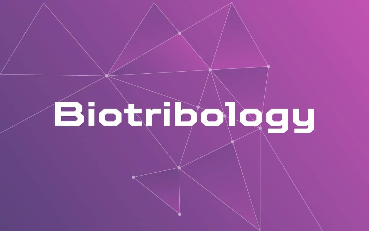 Biotribology in simple words