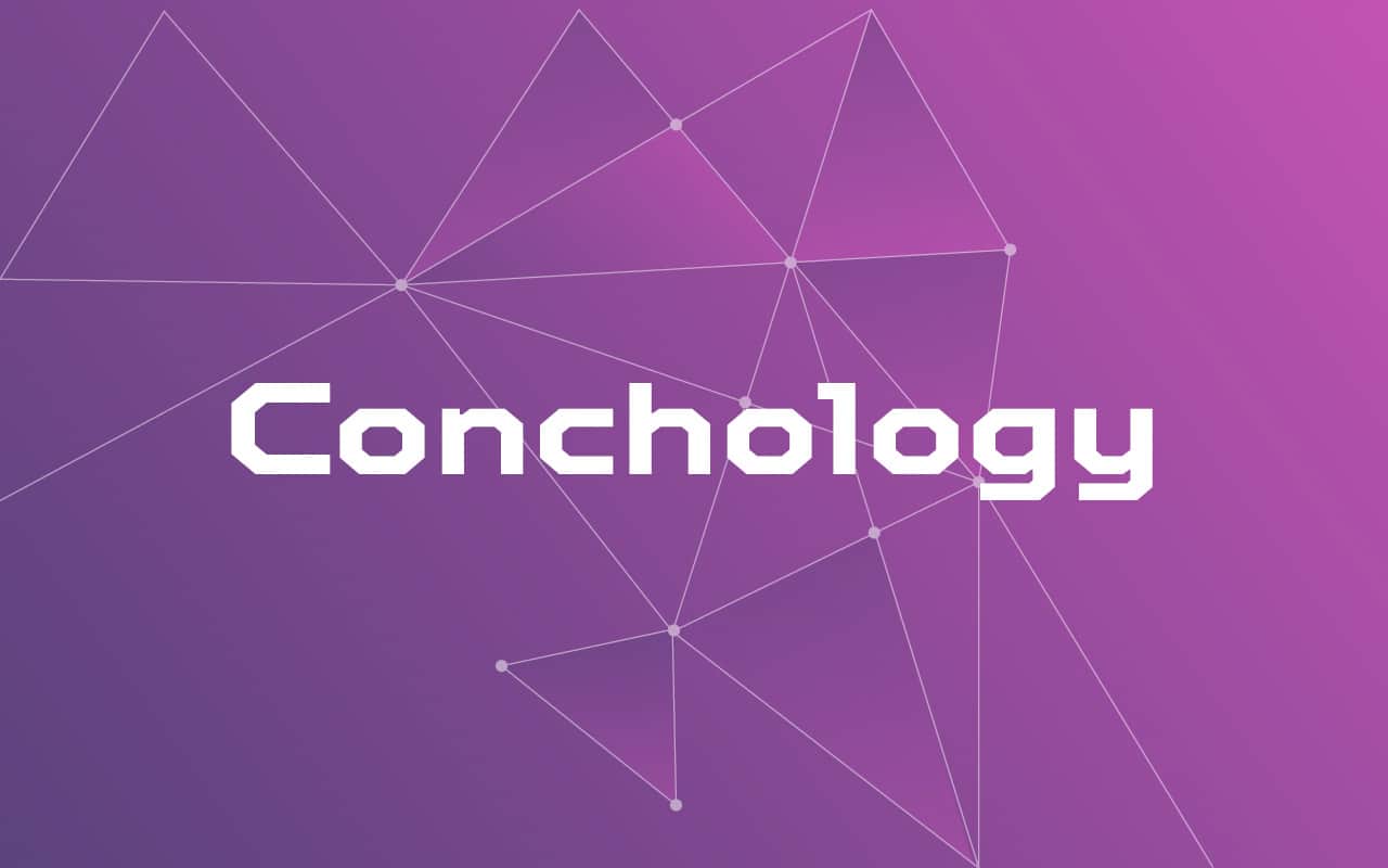 Conchology Made Easy: Explaining the Science of Shells