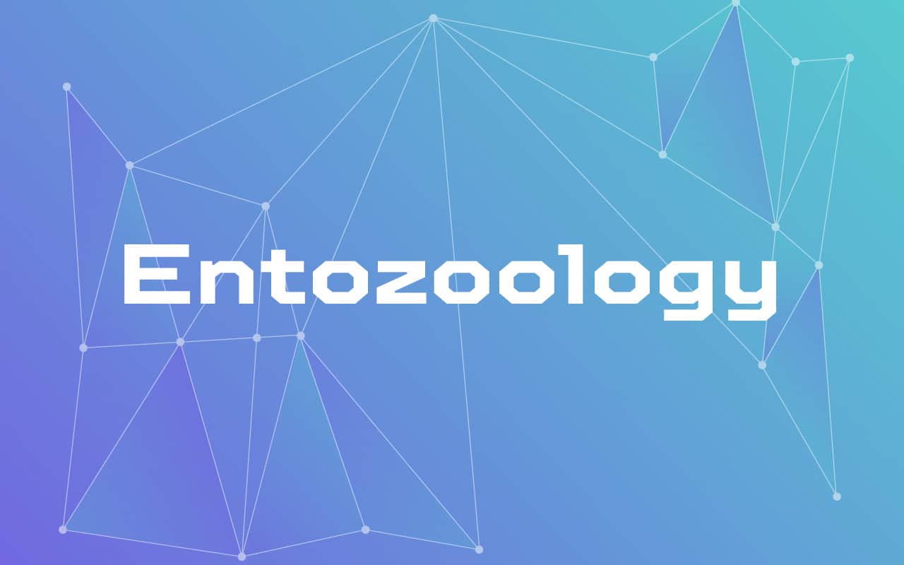 A Simple Explanation of Entozoology