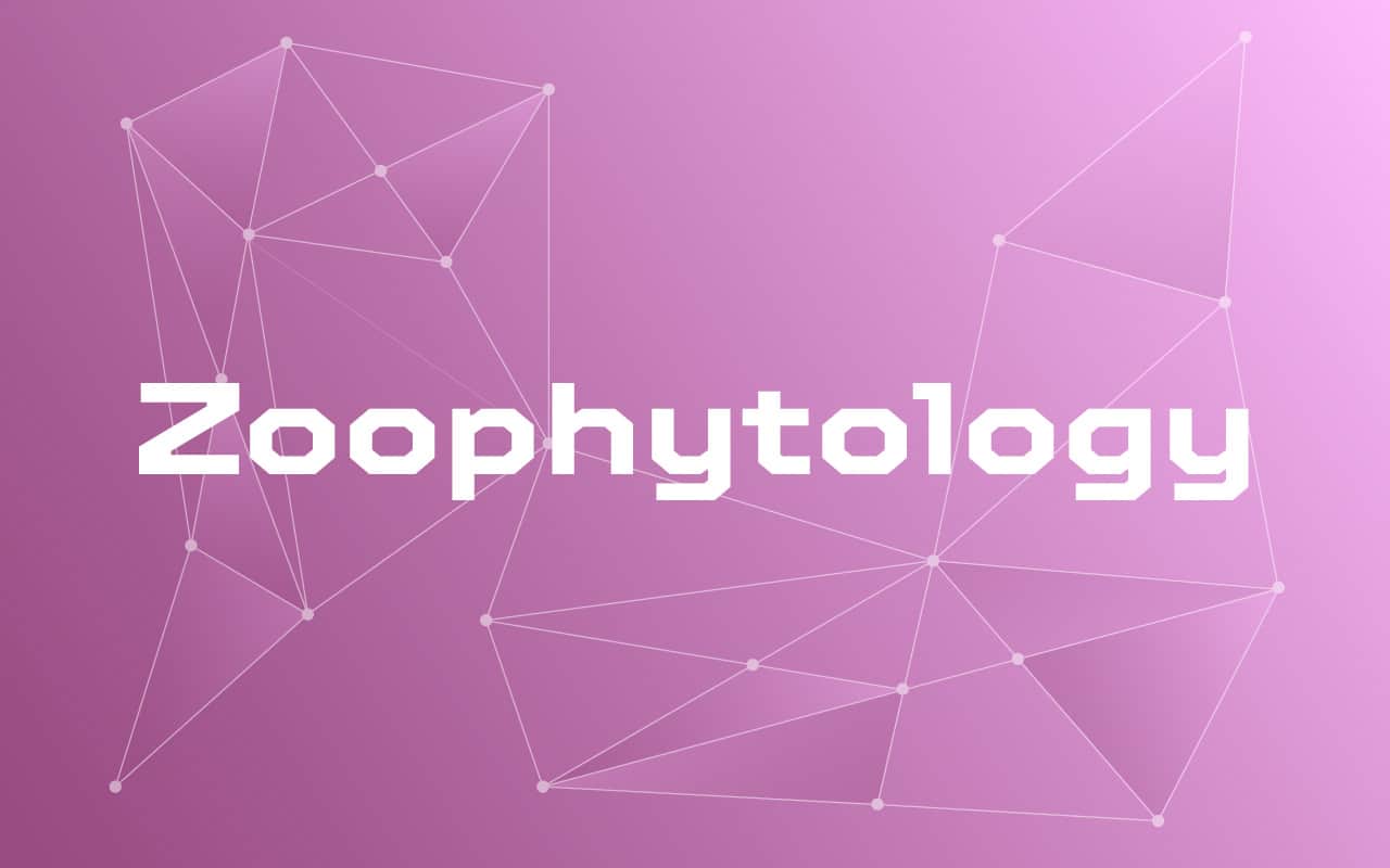 Zoophytology 101: Understanding Zoophytes in Layman's Terms